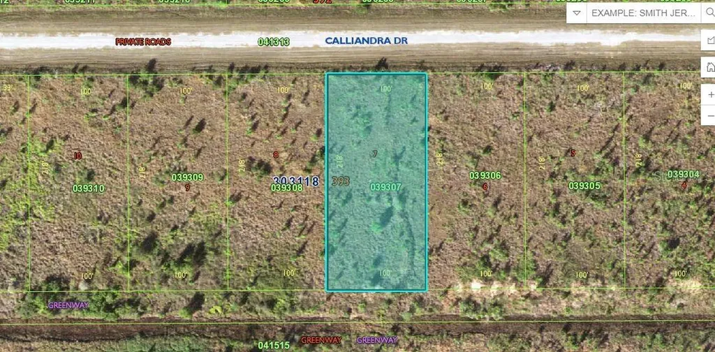 Calliandra Drive Lake Wales FL 33855