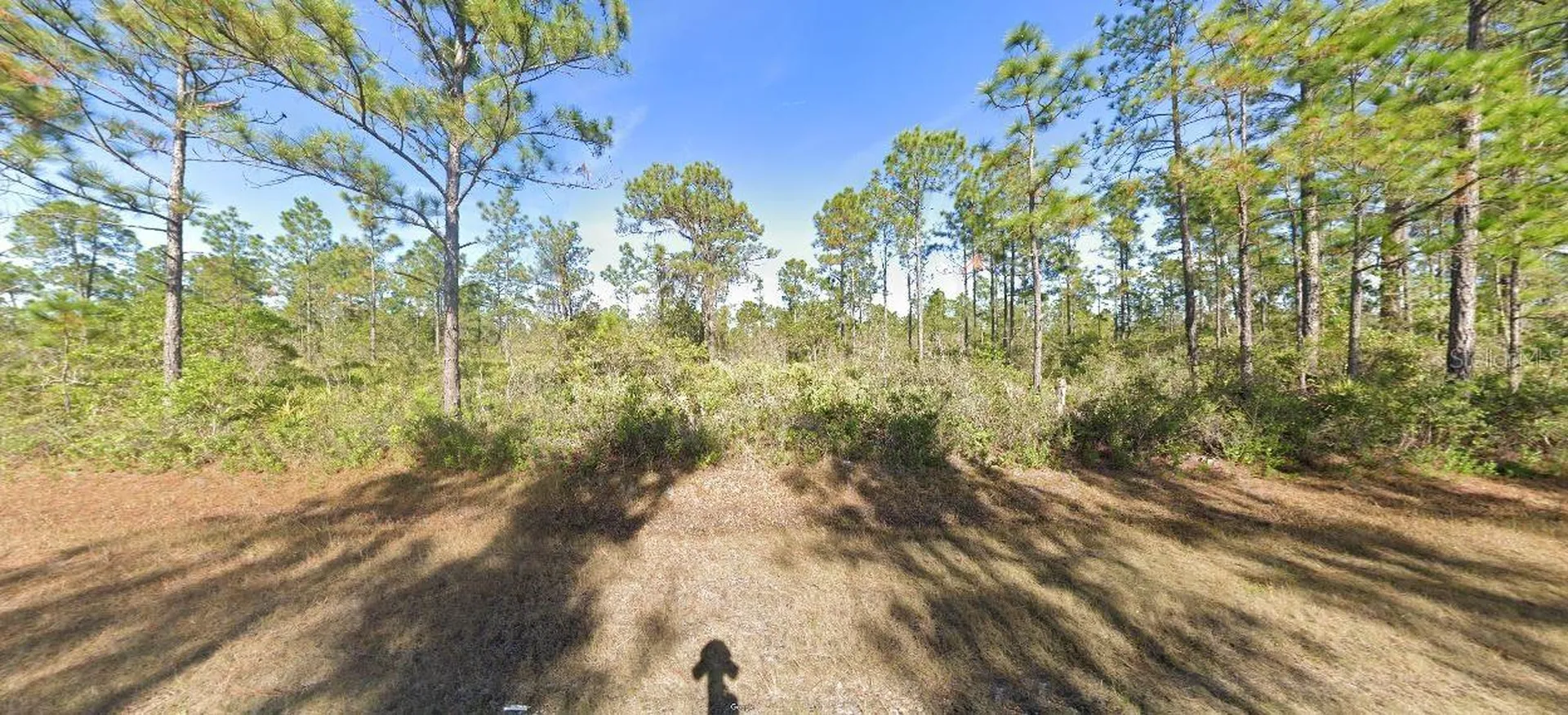 Calliandra Drive Lake Wales FL 33855