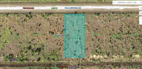 Calliandra Drive Lake Wales FL 33855