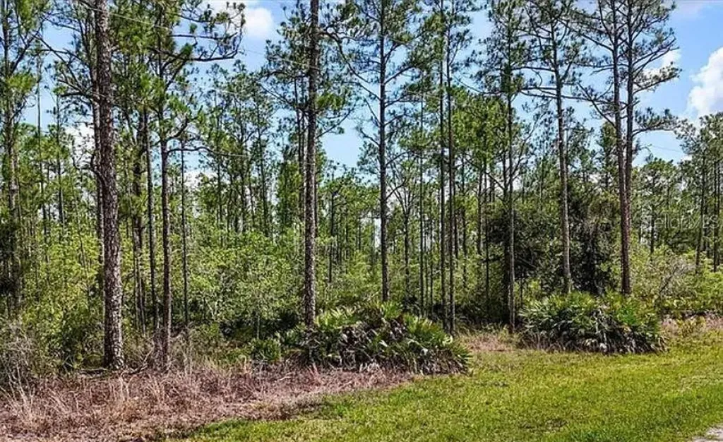 Oleander Drive Indian Lake Estates FL 33855