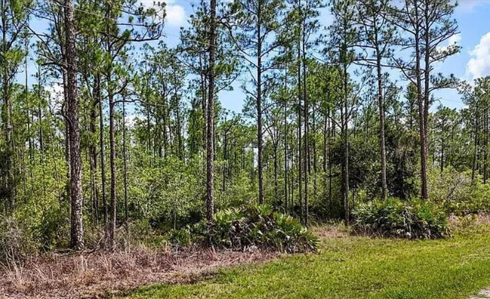 Oleander Drive Indian Lake Estates FL 33855