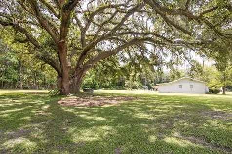 3097 NE 192nd Avenue Williston FL 32696