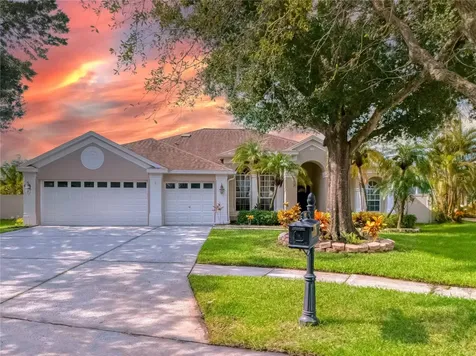 12408 Seabrook Drive Tampa FL 33626