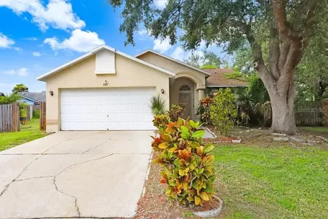 1717 Springwell Place Brandon FL 33511