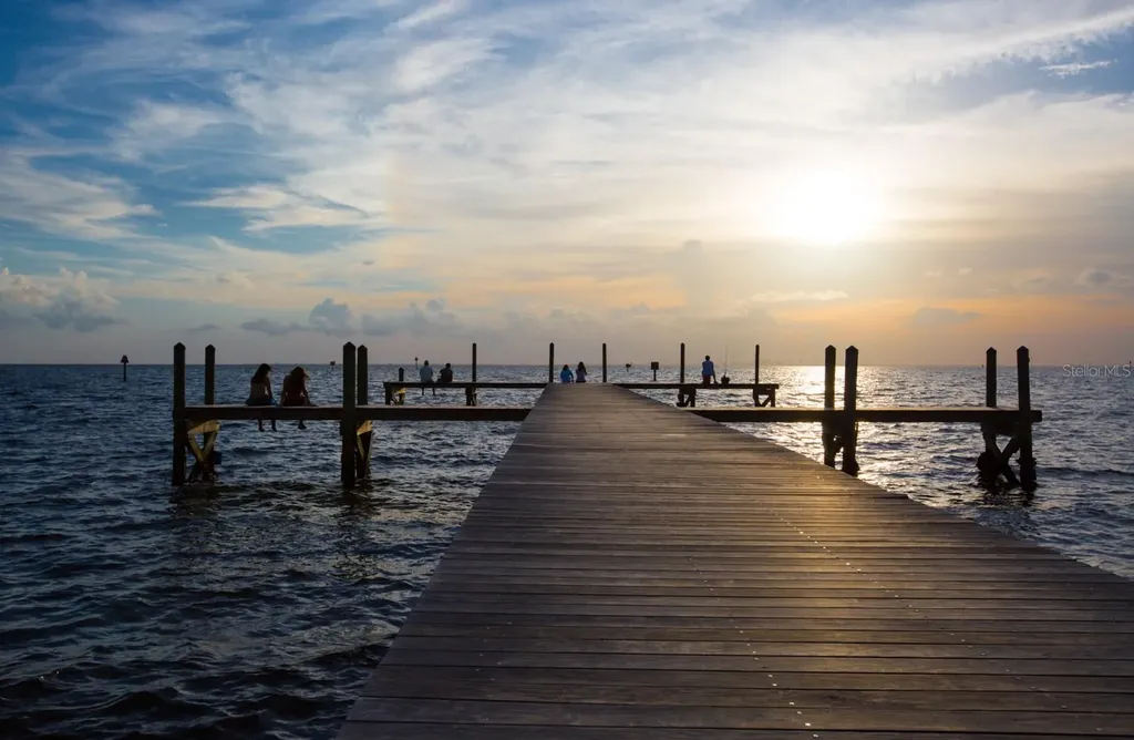 3226 Mangrove Point Drive Ruskin FL 33570