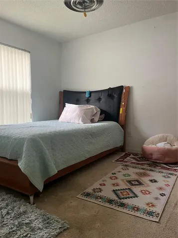 1324 Maximilian Drive Wesley Chapel FL 33543