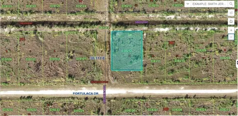 424 Portulaca Drive Indian Lake Estates FL 33855