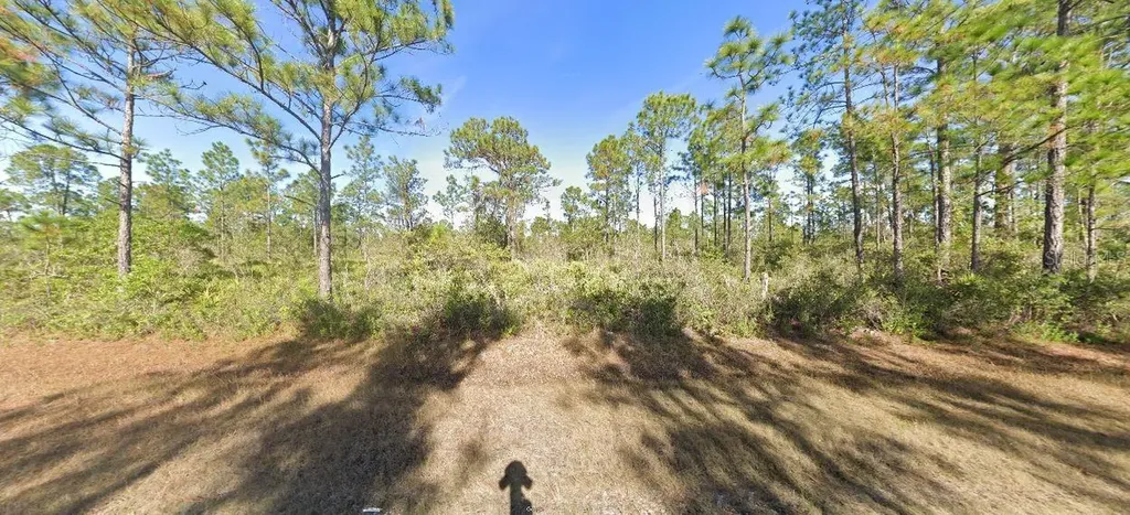 819 Belmonte Drive Indian Lake Estates FL 33855