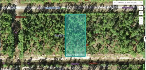 819 Belmonte Drive Indian Lake Estates FL 33855