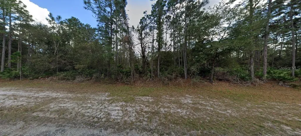 1103 Japonica Avenue Indian Lake Estates FL 33855