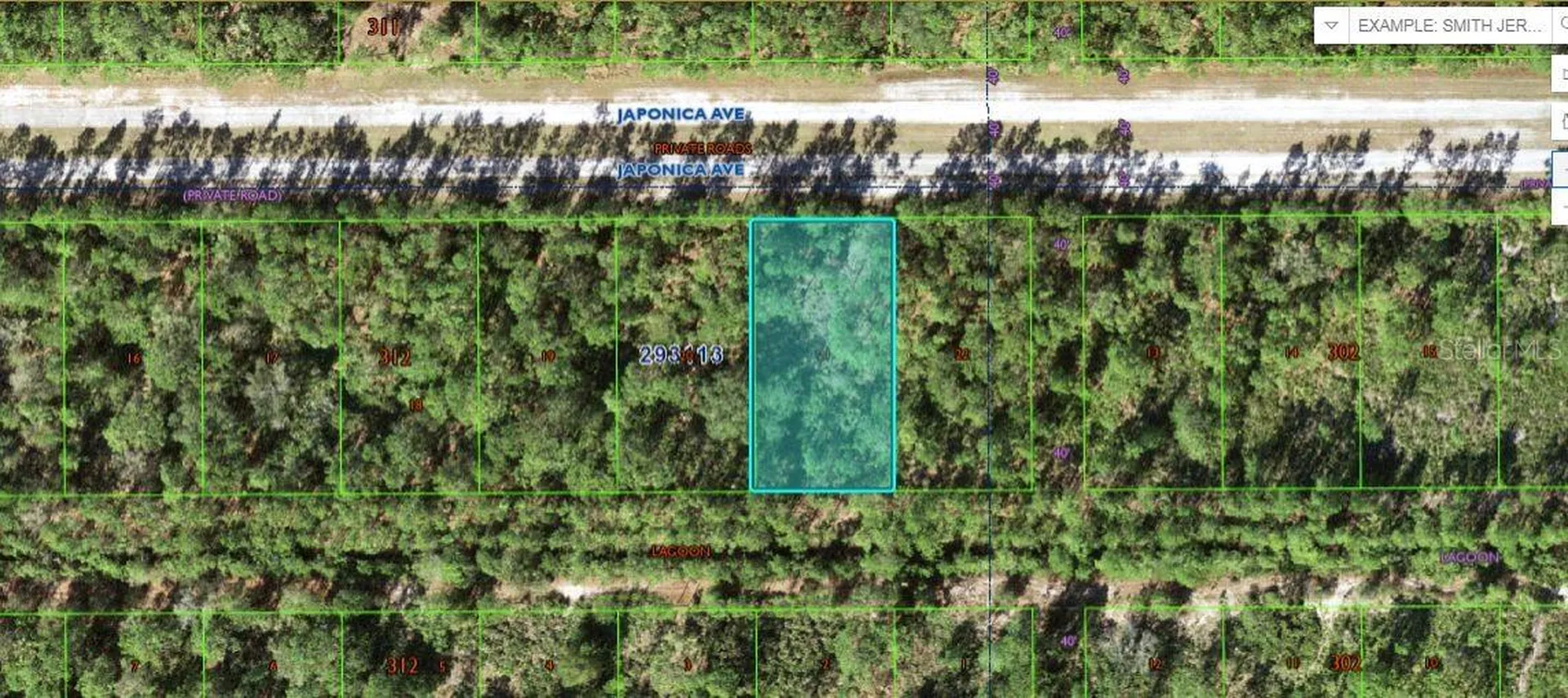 1103 Japonica Avenue Indian Lake Estates FL 33855