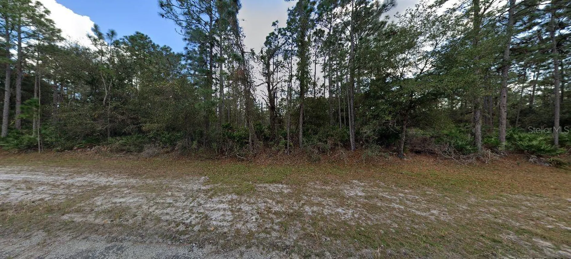 1103 Japonica Avenue Indian Lake Estates FL 33855