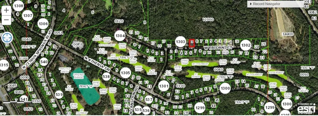 325 W Eridani Court Citrus Springs FL 34434