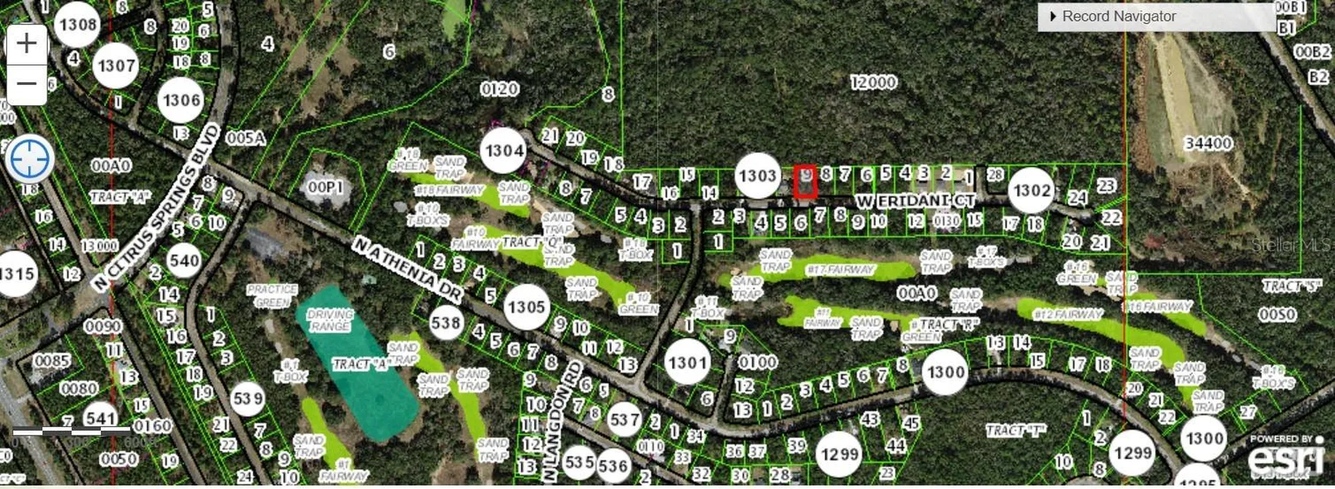 325 W Eridani Court Citrus Springs FL 34434