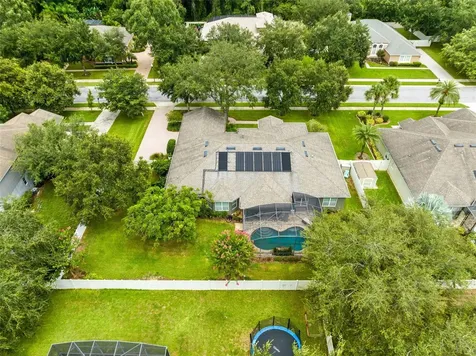 2732 Ponkan Meadow Drive Apopka FL 32712