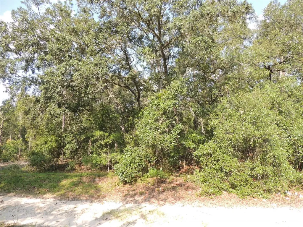 7550 NE 95th Avenue Bronson FL 32621