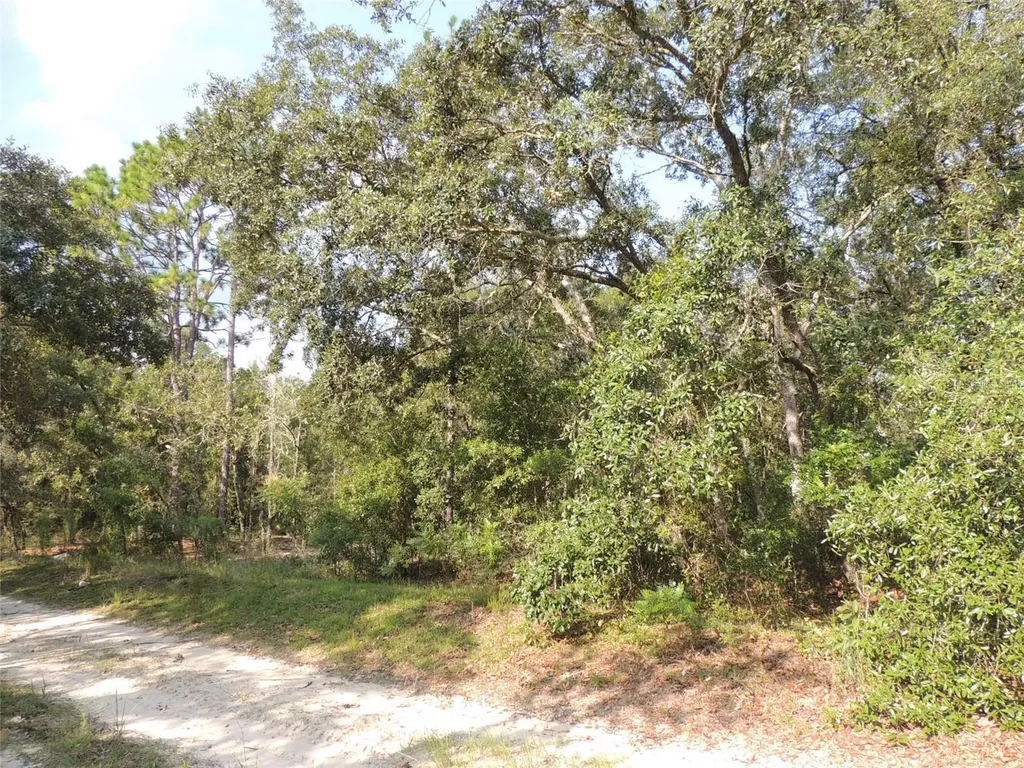 7550 NE 95th Avenue Bronson FL 32621