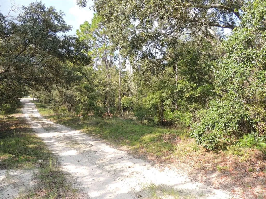 7550 NE 95th Avenue Bronson FL 32621
