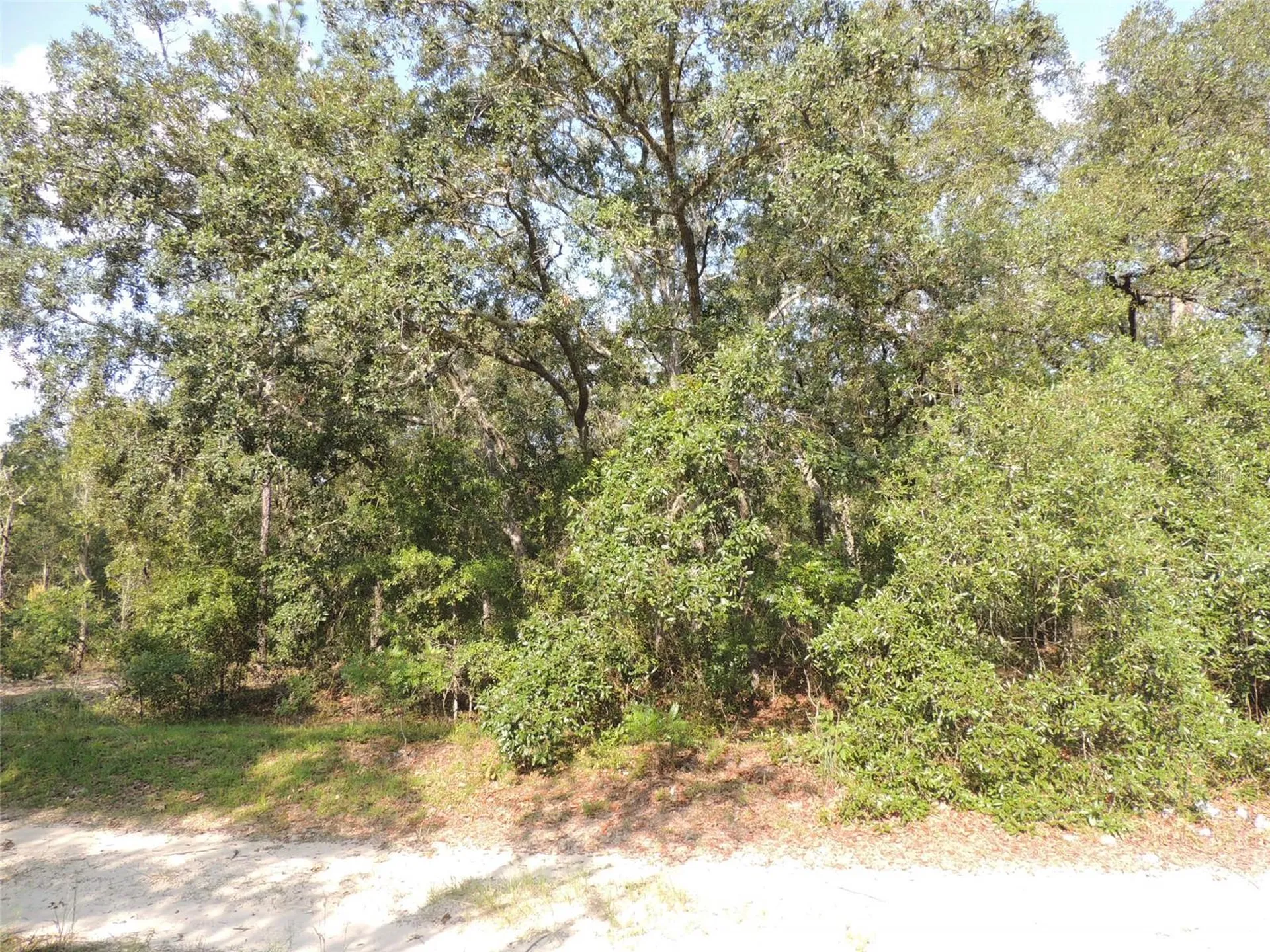 7550 NE 95th Avenue Bronson FL 32621