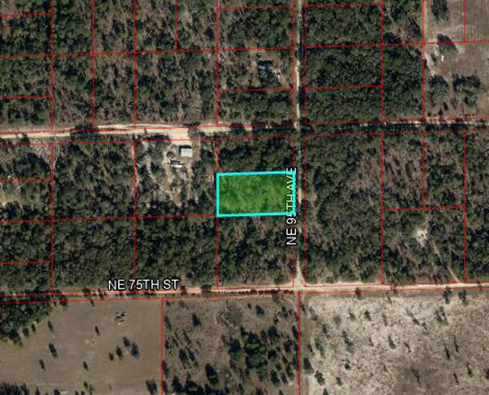 7550 NE 95th Avenue Bronson FL 32621
