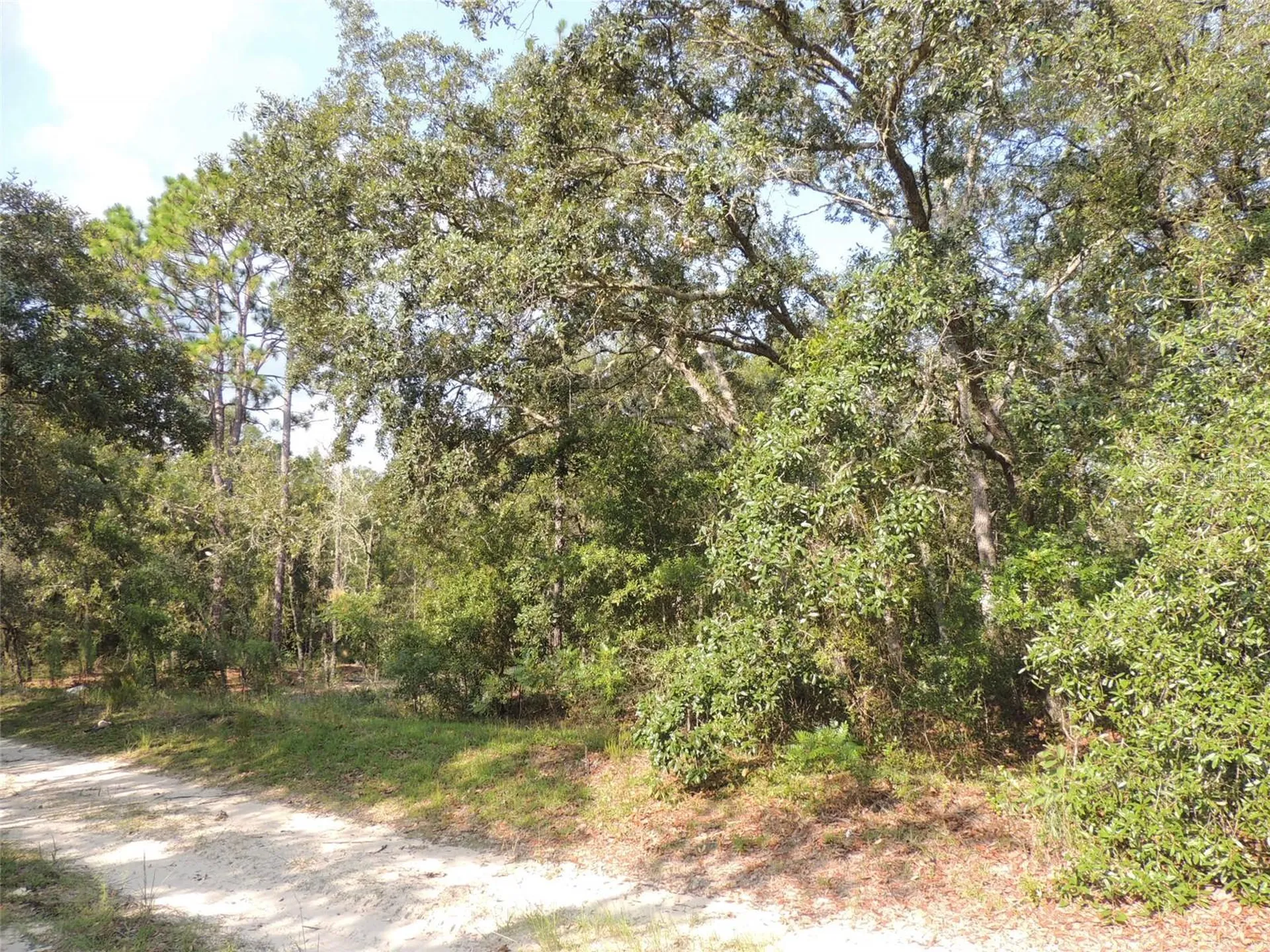 7550 NE 95th Avenue Bronson FL 32621