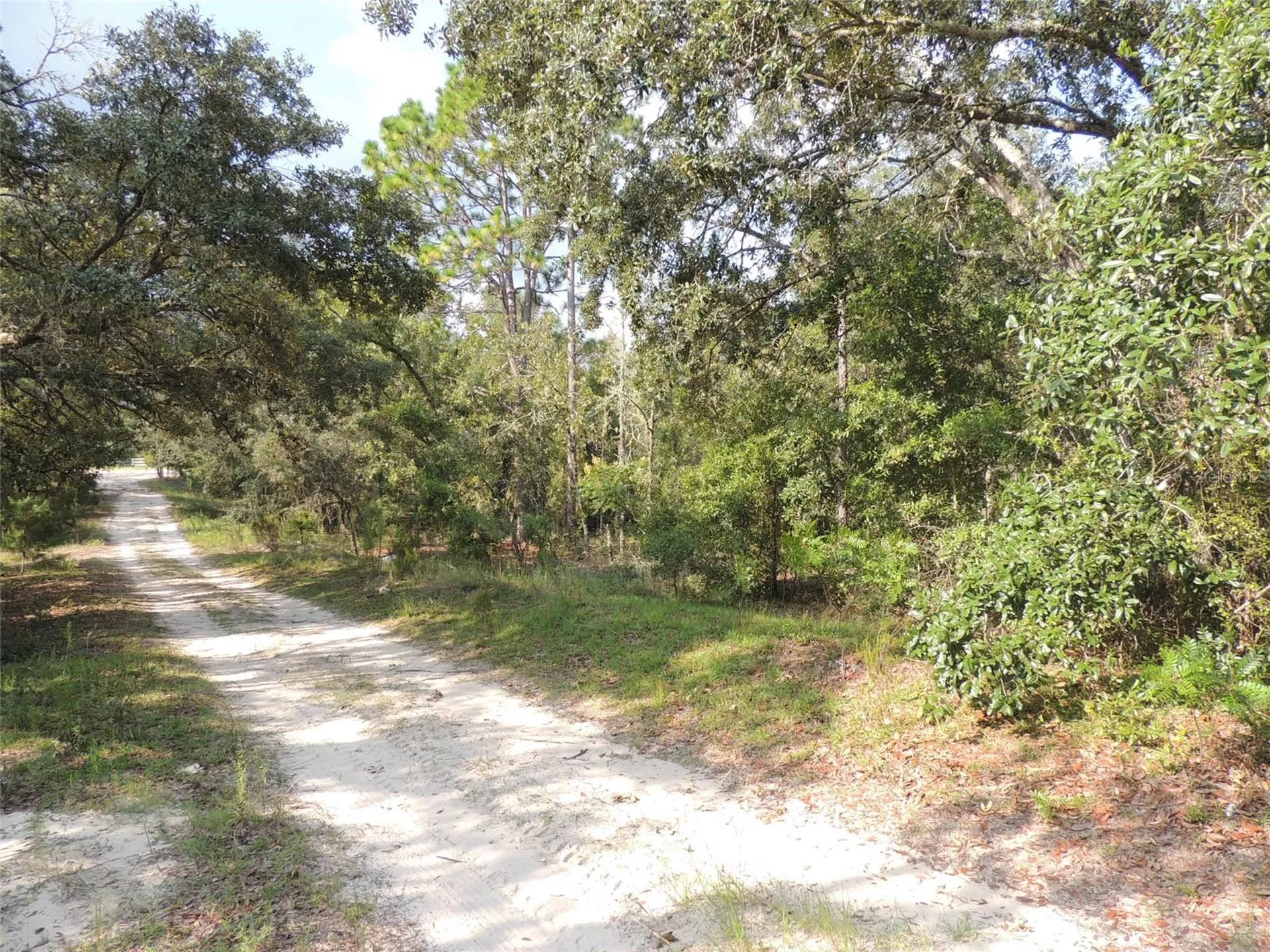 7550 NE 95th Avenue Bronson FL 32621
