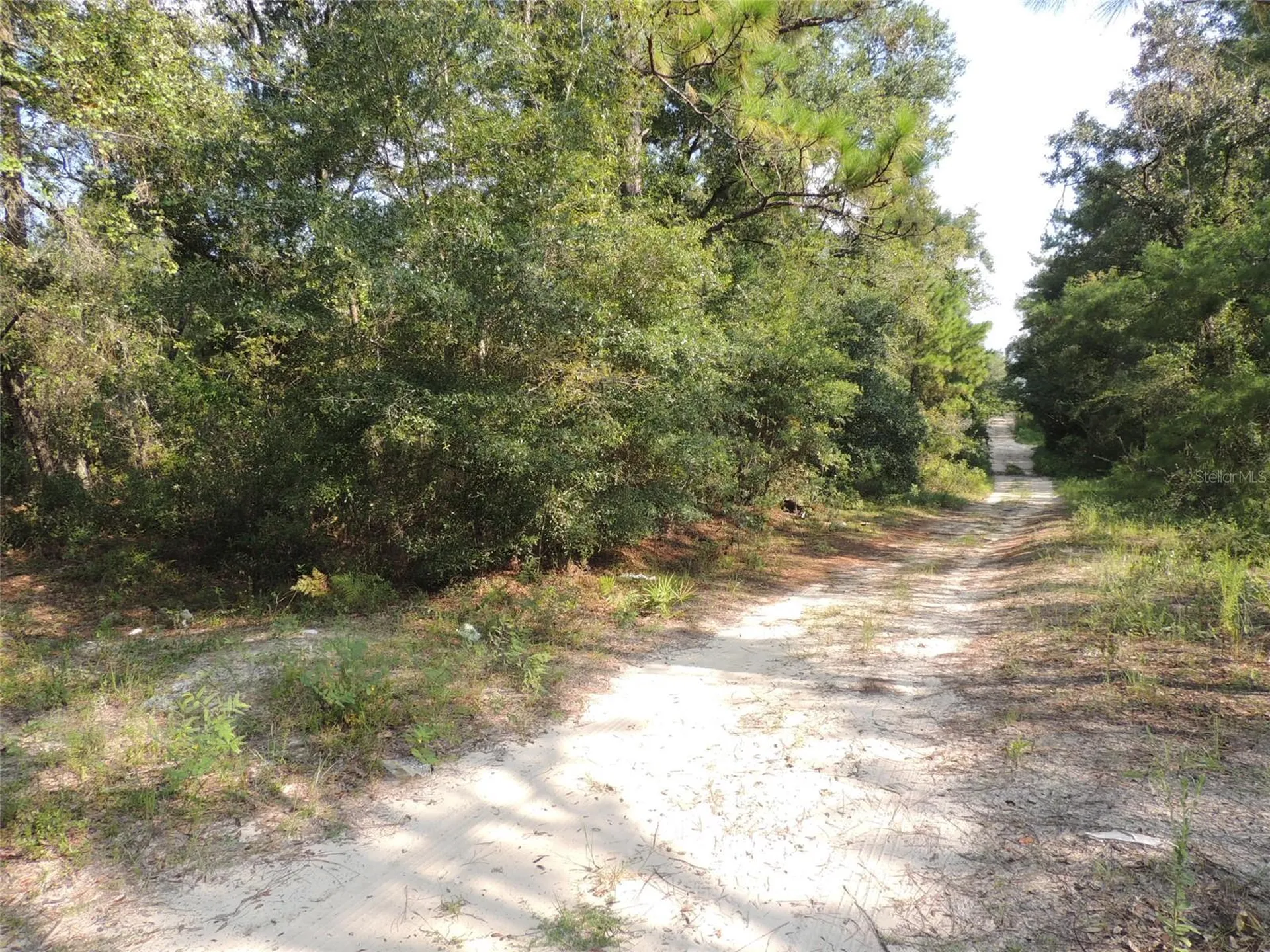 7550 NE 95th Avenue Bronson FL 32621