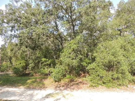 7550 NE 95th Avenue Bronson FL 32621