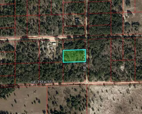 7550 NE 95th Avenue Bronson FL 32621