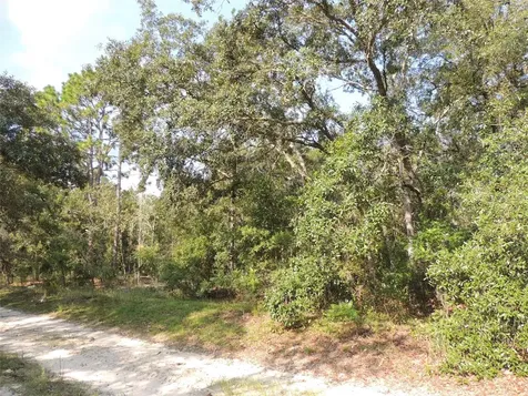 7550 NE 95th Avenue Bronson FL 32621