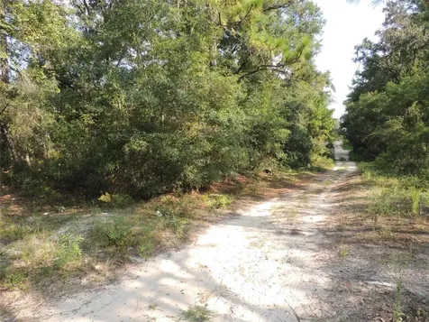 7550 NE 95th Avenue Bronson FL 32621