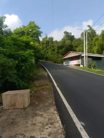 Carr 821 Km 1.9 Corozal PR 00783