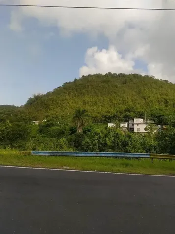 Carr 821 Km 1.9 Corozal PR 00783