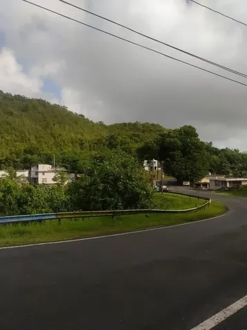 Carr 821 Km 1.9 Corozal PR 00783