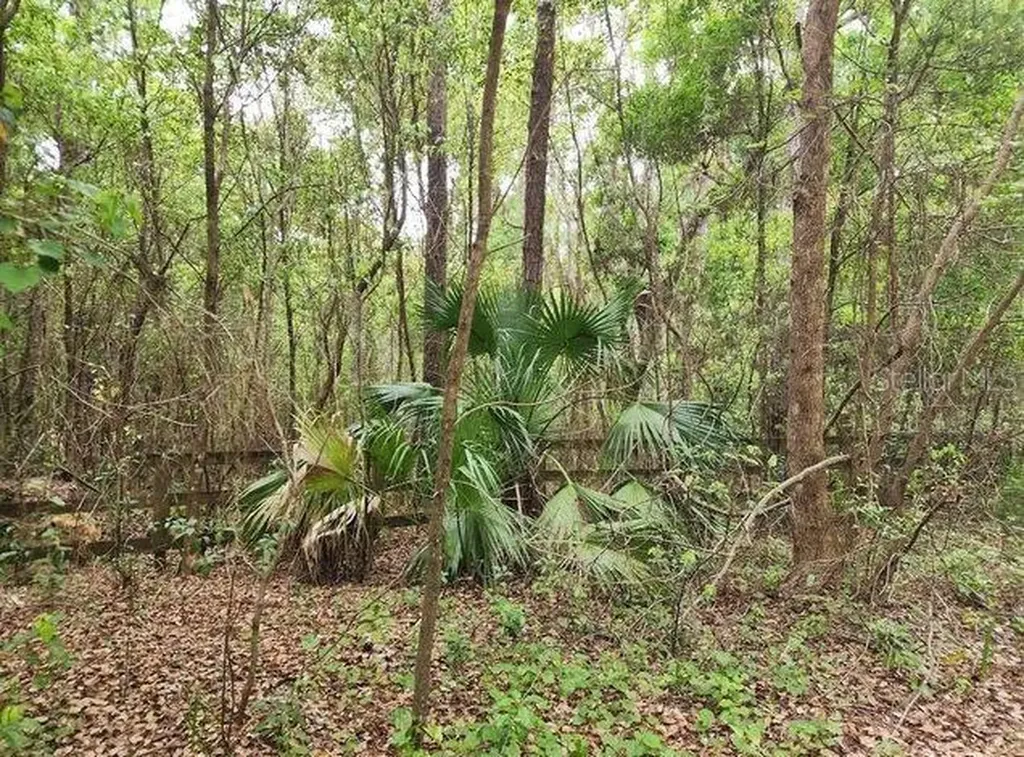 15363 SE 156th Place Road Weirsdale FL 32195
