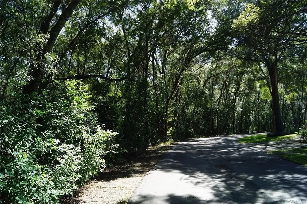 3505 N Woodgate Drive Beverly Hills FL 34465