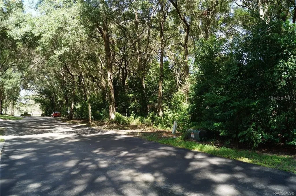 3505 N Woodgate Drive Beverly Hills FL 34465
