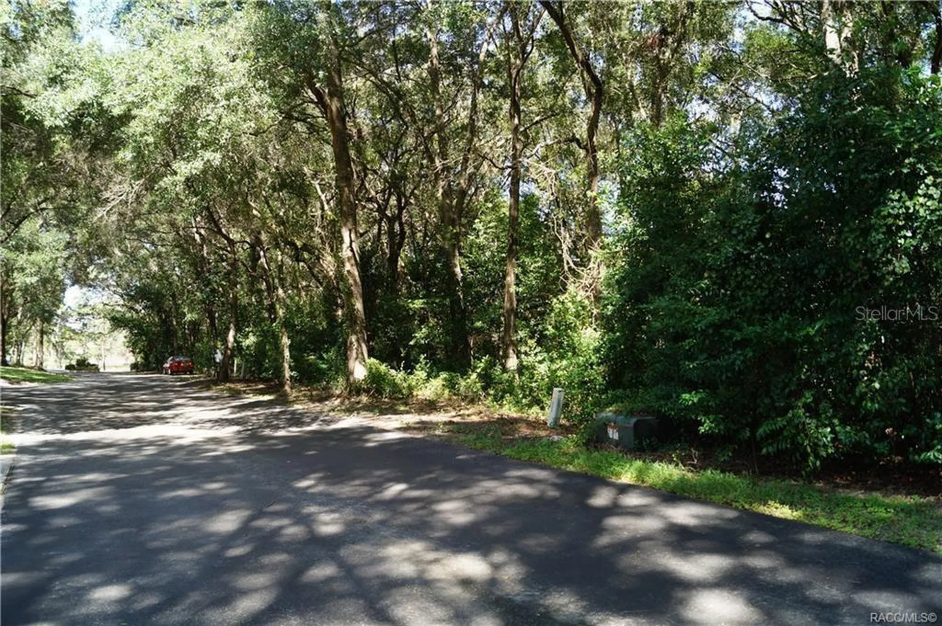 3505 N Woodgate Drive Beverly Hills FL 34465