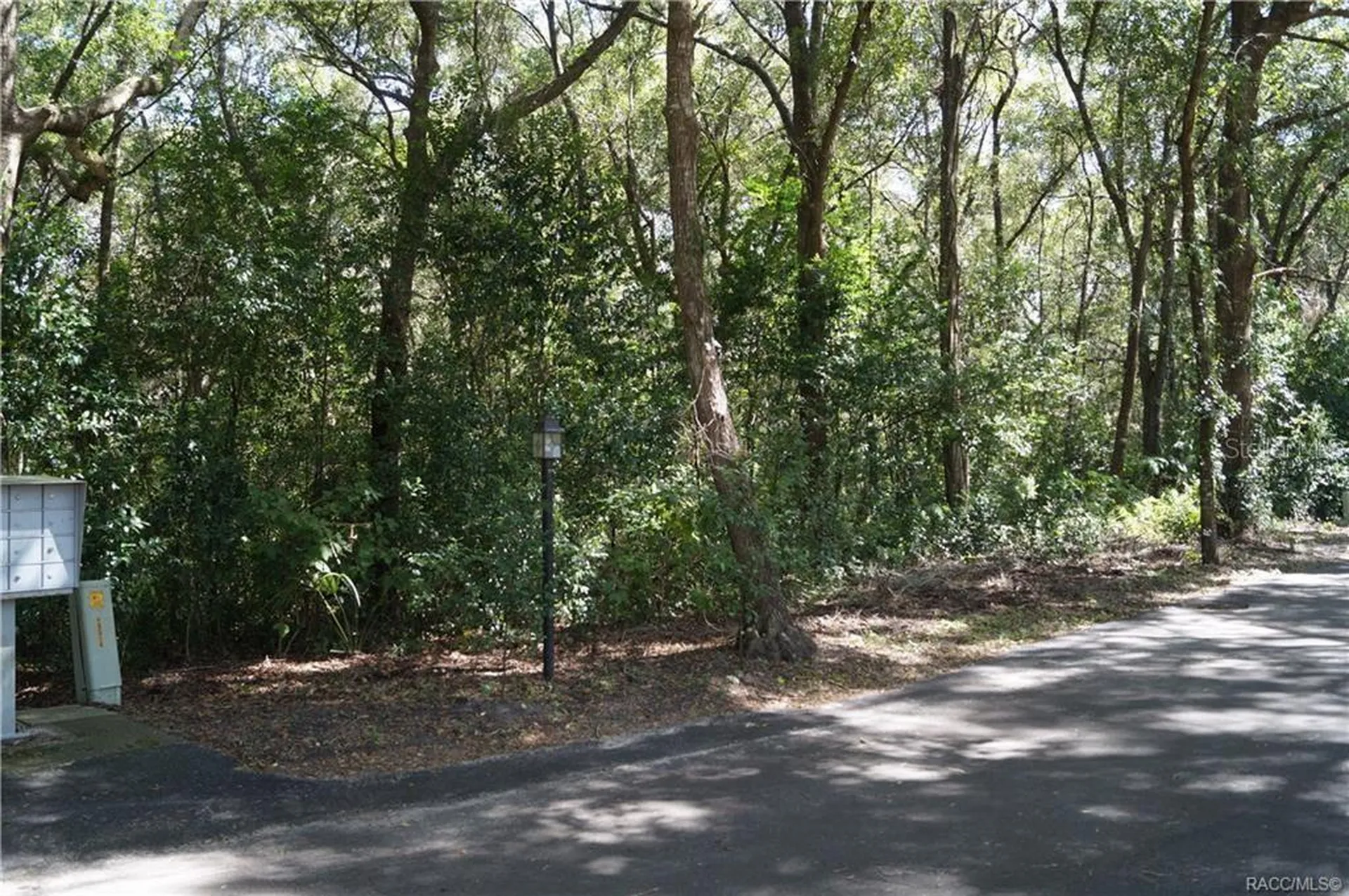 3505 N Woodgate Drive Beverly Hills FL 34465