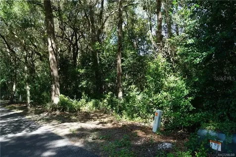 3505 N Woodgate Drive Beverly Hills FL 34465