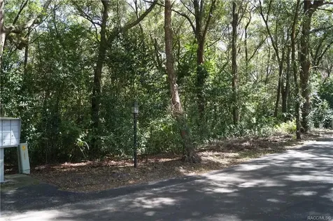 3505 N Woodgate Drive Beverly Hills FL 34465