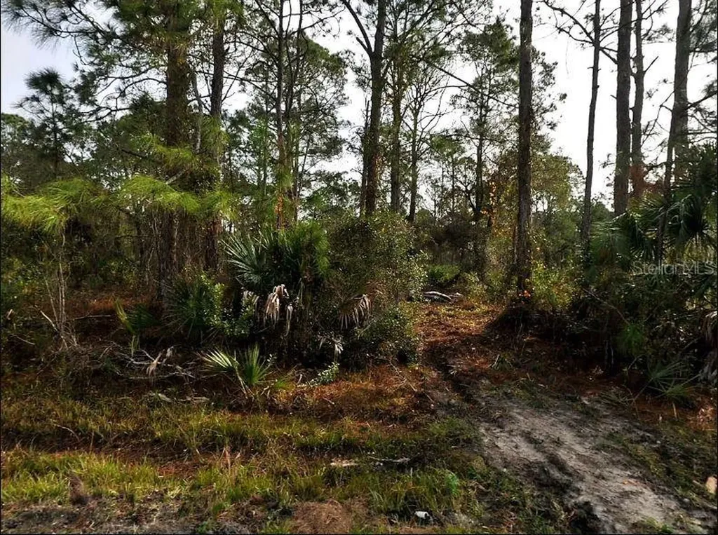 Starfish Avenue North Port FL 34291