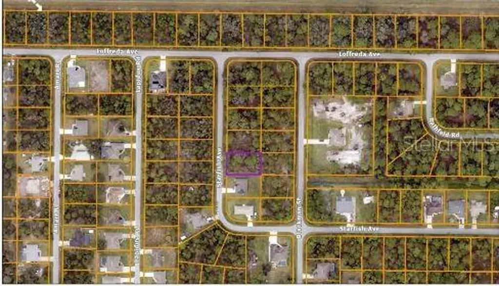 Starfish Avenue North Port FL 34291
