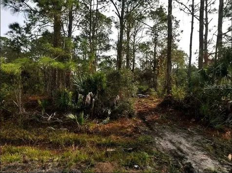 Starfish Avenue North Port FL 34291