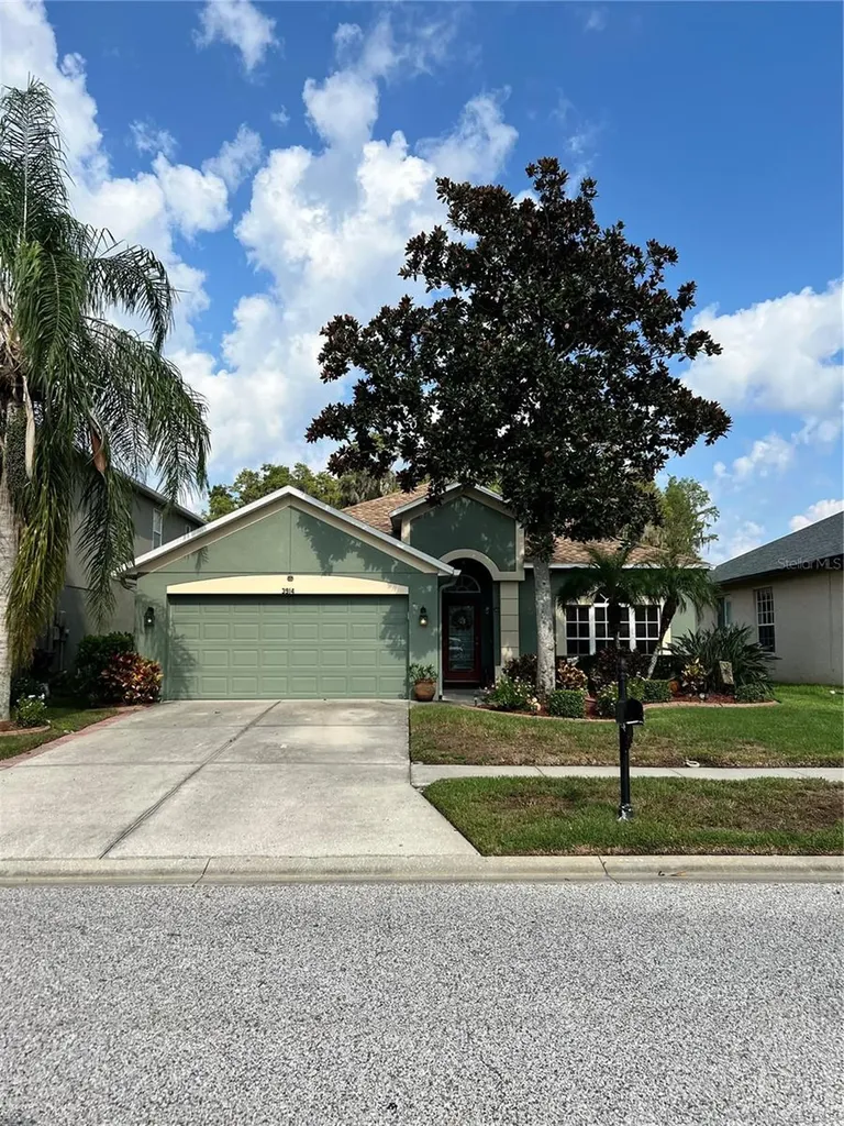 3914 Duke Firth Street Land O Lakes FL 34638