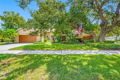 1100 Bramblewood Drive Safety Harbor FL 34695