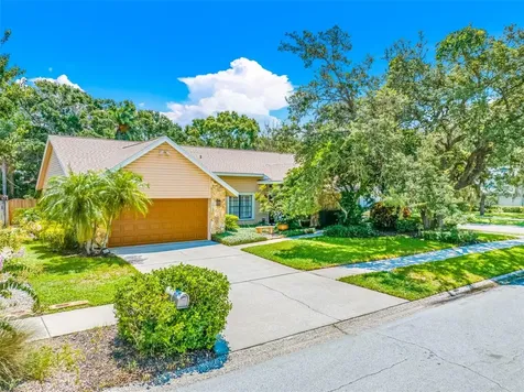 1100 Bramblewood Drive Safety Harbor FL 34695