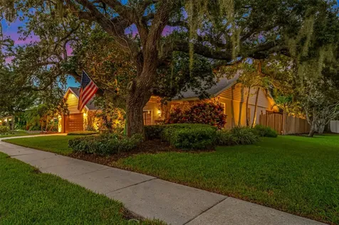 1100 Bramblewood Drive Safety Harbor FL 34695