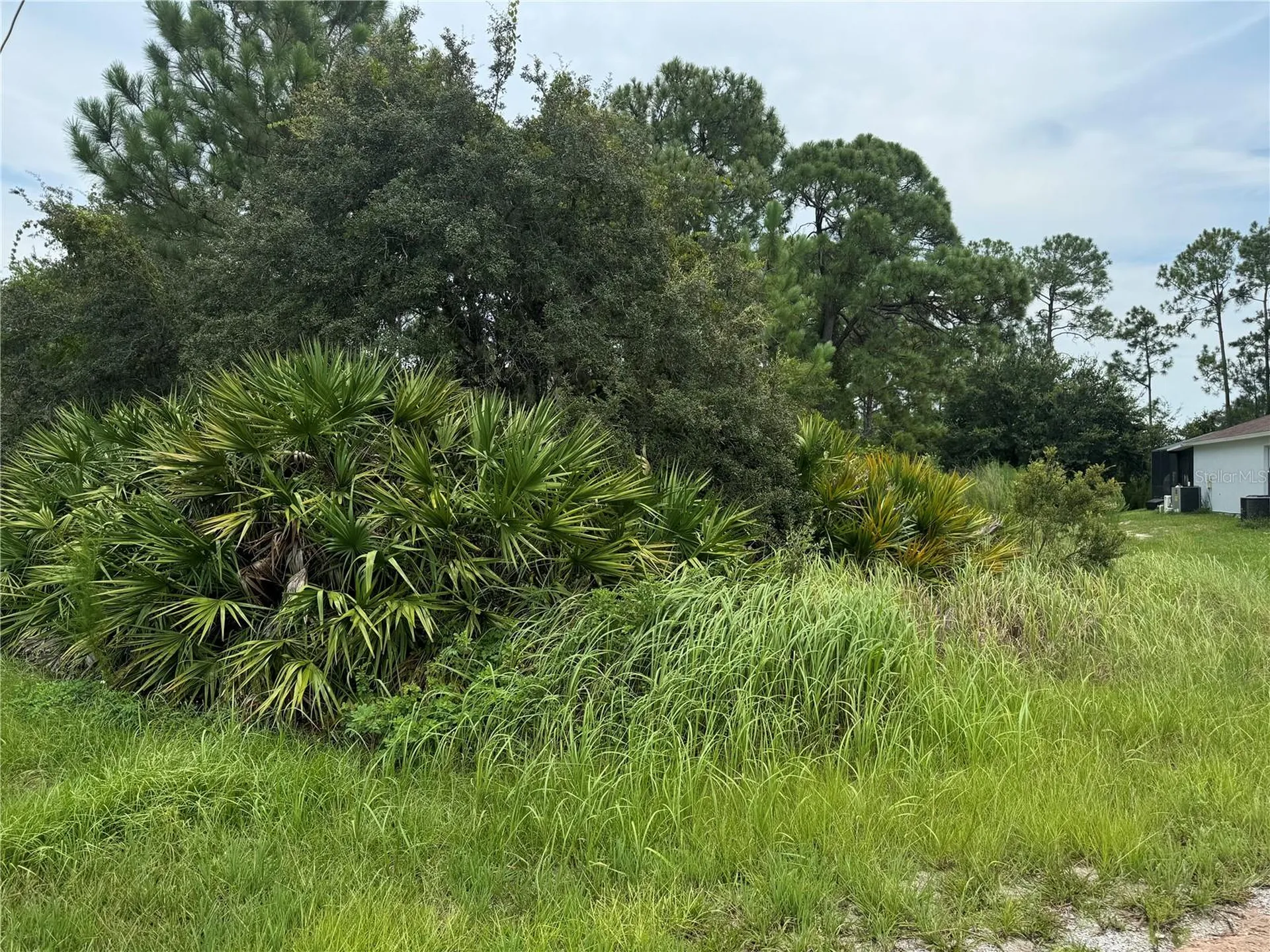 1238 Apopka Lane Kissimmee FL 34759