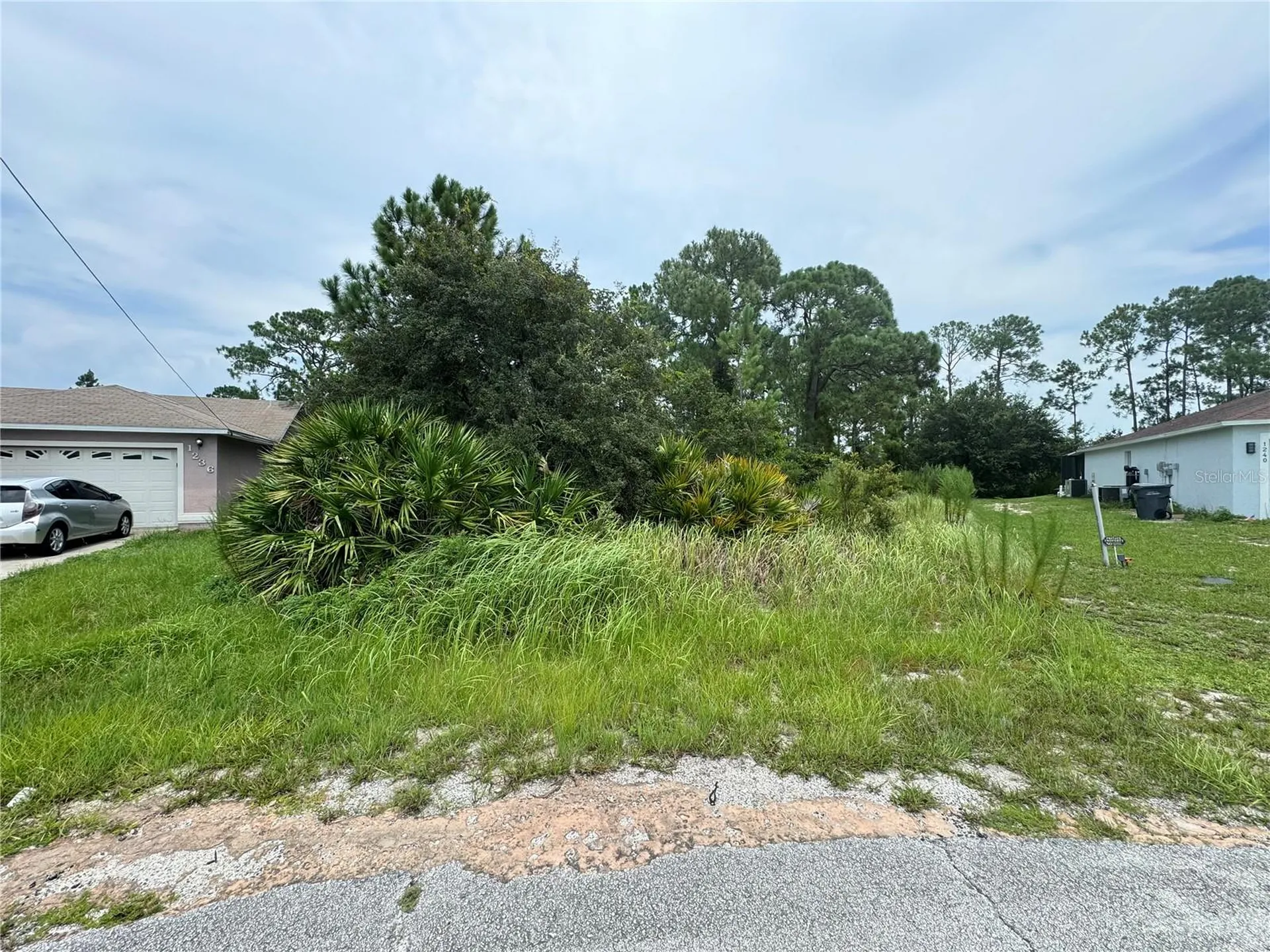1238 Apopka Lane Kissimmee FL 34759